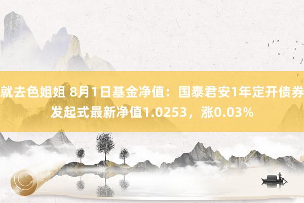 就去色姐姐 8月1日基金净值：国泰君安1年定开债券发起式最新净值1.0253，涨0.03%