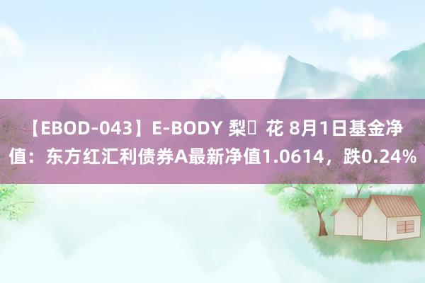 【EBOD-043】E-BODY 梨々花 8月1日基金净值：东方红汇利债券A最新净值1.0614，跌0.24%