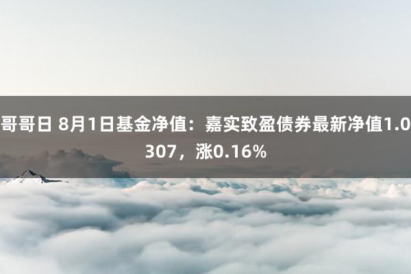 哥哥日 8月1日基金净值：嘉实致盈债券最新净值1.0307，涨0.16%