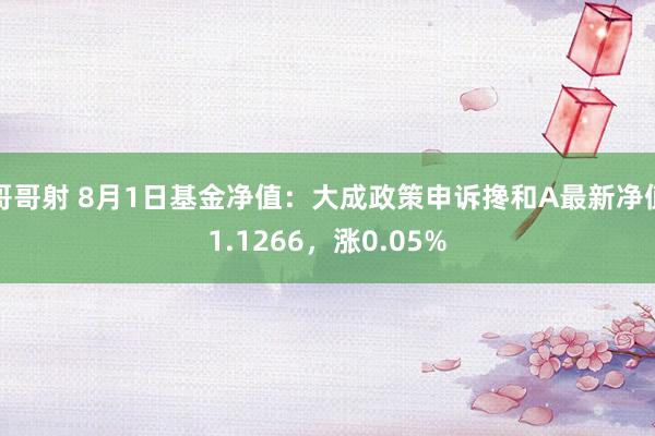 哥哥射 8月1日基金净值：大成政策申诉搀和A最新净值1.1266，涨0.05%