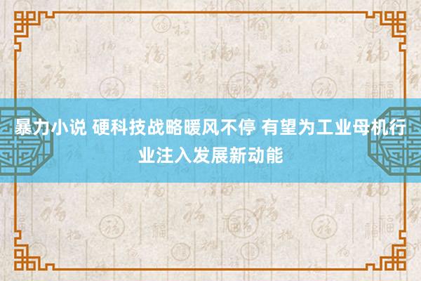 暴力小说 硬科技战略暖风不停 有望为工业母机行业注入发展新动能