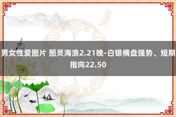 男女性爱图片 图灵海浪2.21晚-白银横盘强势、短期指向22.50