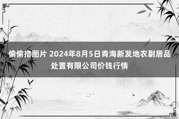 偷偷撸图片 2024年8月5日青海新发地农副居品处置有限公司价钱行情