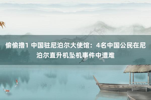 偷偷撸1 中国驻尼泊尔大使馆：4名中国公民在尼泊尔直升机坠机事件中遭难