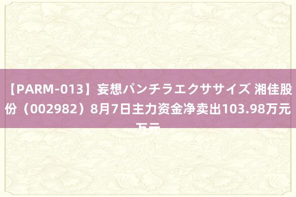 【PARM-013】妄想パンチラエクササイズ 湘佳股份（002982）8月7日主力资金净卖出103.98万元