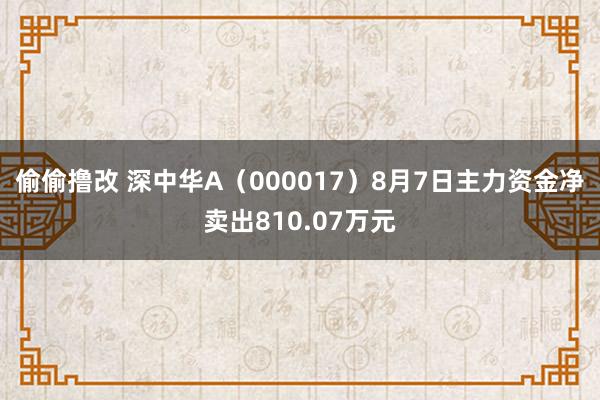 偷偷撸改 深中华A（000017）8月7日主力资金净卖出810.07万元