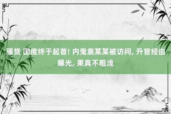 骚货 国度终于起首! 内鬼袁某某被访问， 升官经由曝光， 果真不粗浅