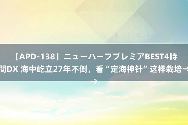 【APD-138】ニューハーフプレミアBEST4時間DX 海中屹立27年不倒，看“定海神针”这样栽培→