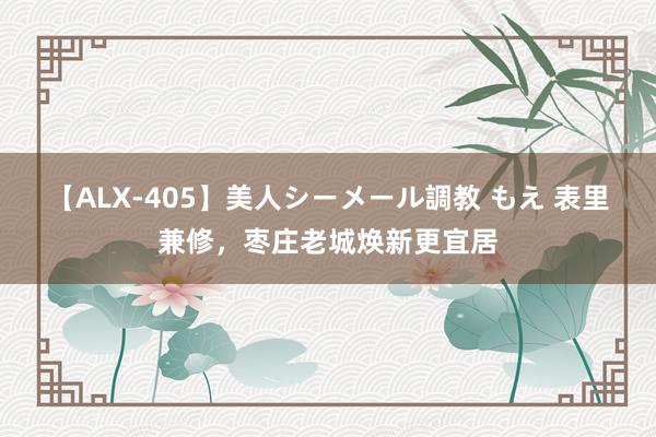 【ALX-405】美人シーメール調教 もえ 表里兼修，枣庄老城焕新更宜居