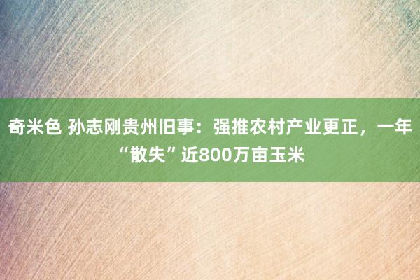 奇米色 孙志刚贵州旧事：强推农村产业更正，一年“散失”近800万亩玉米