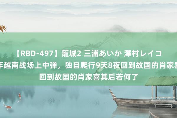 【RBD-497】籠城2 三浦あいか 澤村レイコ ASUKA 79年越南战场上中弹，独自爬行9天8夜回到故国的肖家喜其后若何了