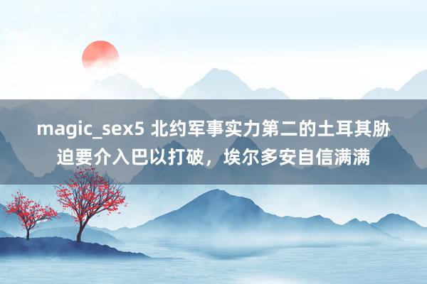 magic_sex5 北约军事实力第二的土耳其胁迫要介入巴以打破，埃尔多安自信满满