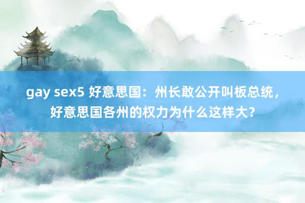 gay sex5 好意思国：州长敢公开叫板总统，好意思国各州的权力为什么这样大？