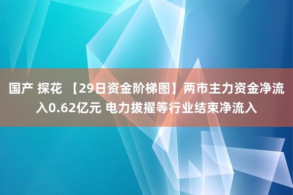 国产 探花 【29日资金阶梯图】两市主力资金净流入0.62亿元 电力拔擢等行业结束净流入