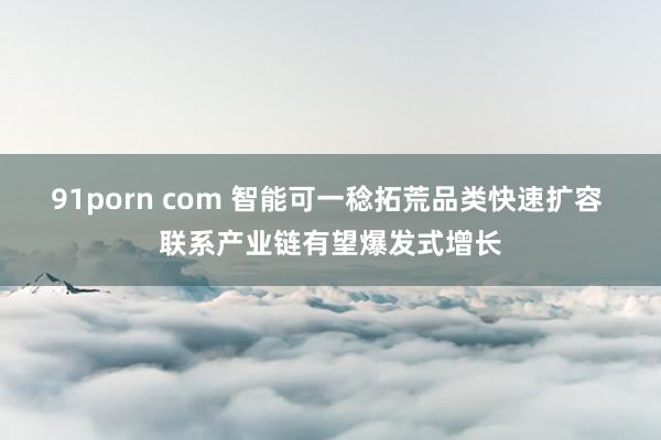 91porn com 智能可一稔拓荒品类快速扩容 联系产业链有望爆发式增长