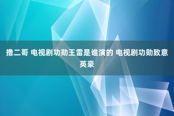 撸二哥 电视剧功勋王雷是谁演的 电视剧功勋致意英豪