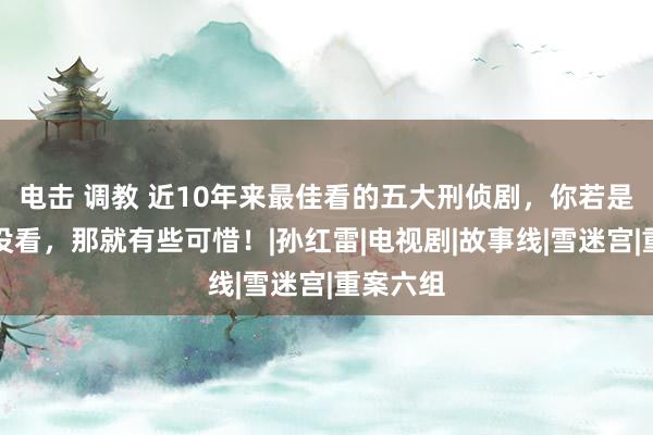 电击 调教 近10年来最佳看的五大刑侦剧，你若是一部齐没看，那就有些可惜！|孙红雷|电视剧|故事线|雪迷宫|重案六组